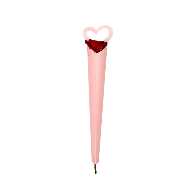 Single Rose Tube - Carry Love