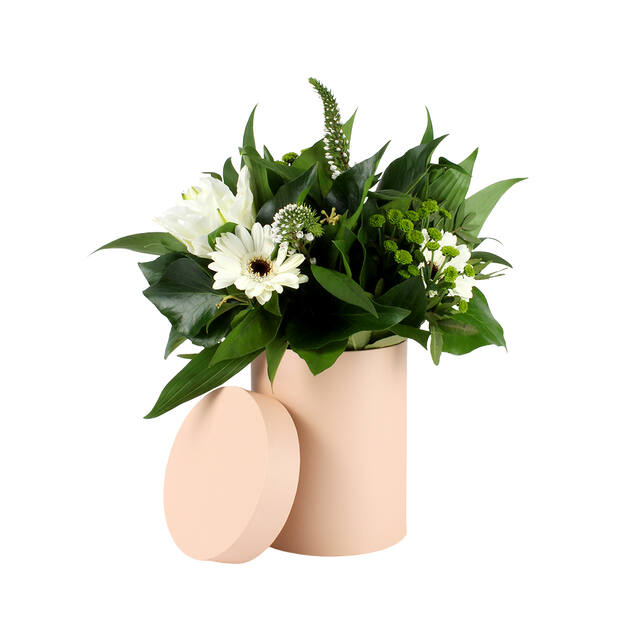 PK Photo Hatbox Pastel Orange