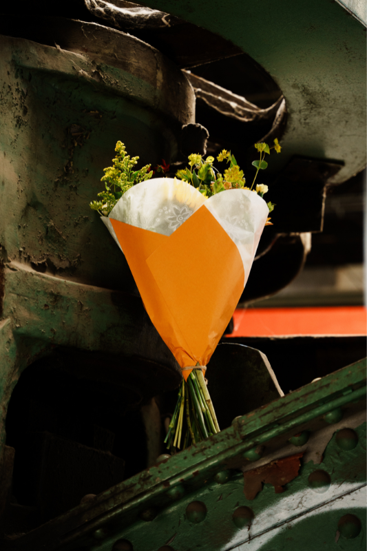 Alba Passion Prefold - 44cm - Packed by 50