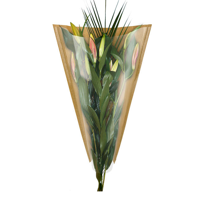 Farmers Market Sleeve