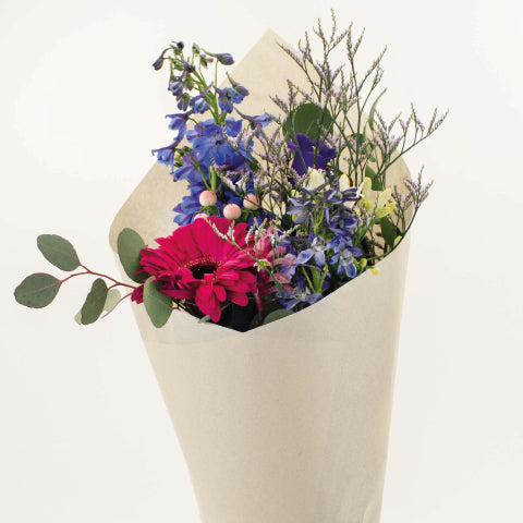 Paperwise Roll - 80cm x 100m