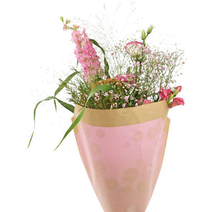 Bright Sleeve - 50x44x12cm -  Packed by 50