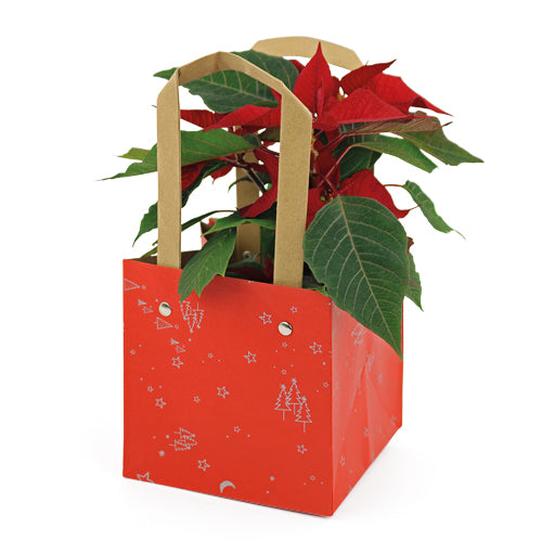 Starry Nights Bag - 13cm - Packed by 10